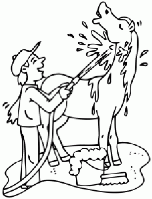 Kolorowanka chłopiec myje konia